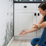 Leeds’ Fresh Fix: Quick Solutions  for Everyday Home Smells