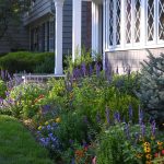 Effortless Elegance: Low-Maintenance Front Yard Landscaping in Hereford 