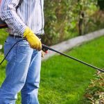 The Real Reasons Property Values Rise And Fall