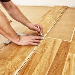 Preventing Pest Infestations in Elgin: Effective Guidelines for Homeowners