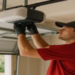 Preventing Pest Infestations in Elgin: Effective Guidelines for Homeowners