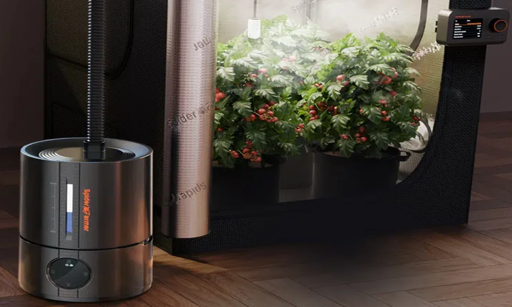 The Cold-Weather Canopy: How a Humidifier for Plants Unlocks Vibrant Winter Growth Indoors